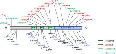 Case report: A novel TLK2 variant with a neuropsychiatric phenotype from a Chinese family